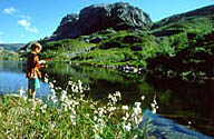 Norway Travel Tourism Links